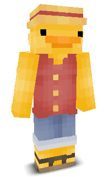 User's Minecraft appearance
