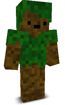 User's Minecraft appearance