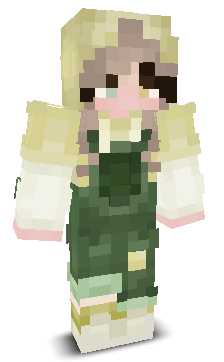 User's Minecraft appearance