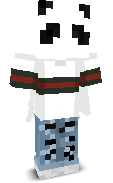 User's Minecraft appearance