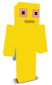 User's Minecraft appearance