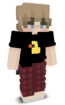 User's Minecraft appearance