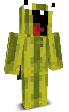 User's Minecraft appearance