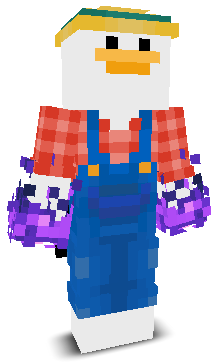 User's Minecraft appearance
