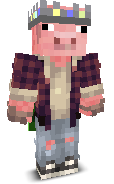 User's Minecraft appearance
