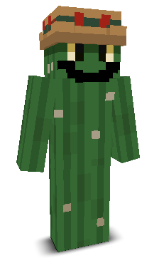 User's Minecraft appearance