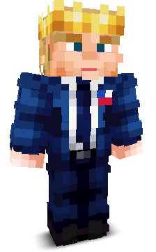 User's Minecraft appearance