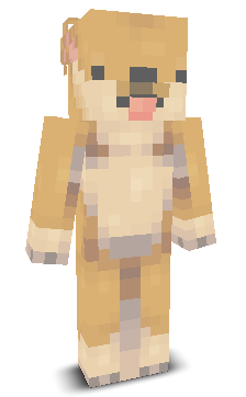 User's Minecraft appearance