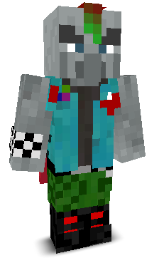 User's Minecraft appearance