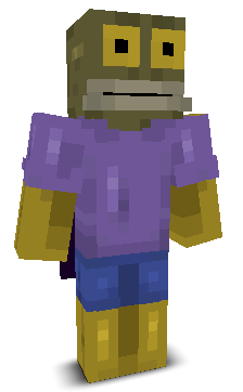 User's Minecraft appearance