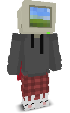 User's Minecraft appearance