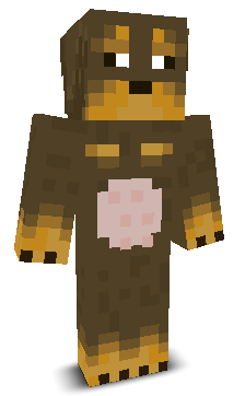 User's Minecraft appearance