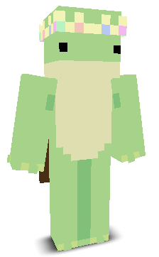 User's Minecraft appearance