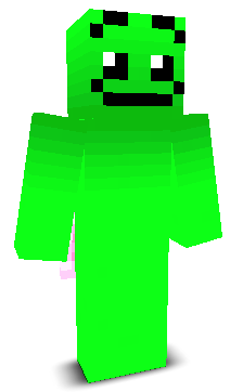 User's Minecraft appearance