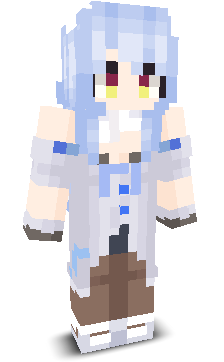 User's Minecraft appearance