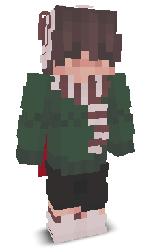 User's Minecraft appearance