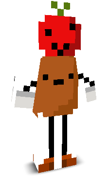 User's Minecraft appearance