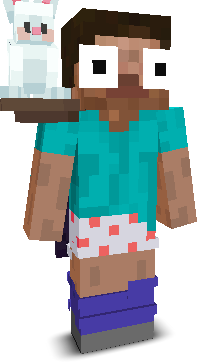 User's Minecraft appearance