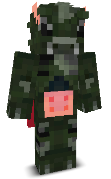 User's Minecraft appearance