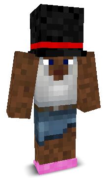 User's Minecraft appearance
