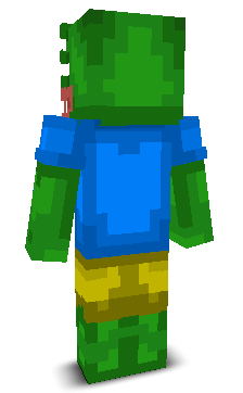 User's Minecraft appearance