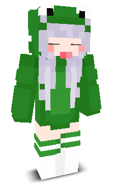 User's Minecraft appearance
