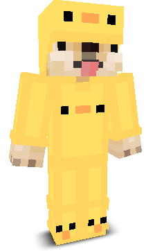 User's Minecraft appearance