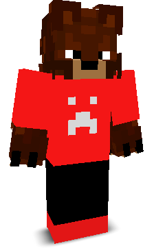 Skin gracza Artur211