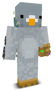 User's Minecraft appearance