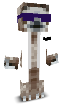 User's Minecraft appearance