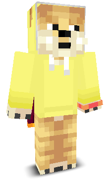 User's Minecraft appearance