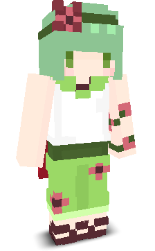 User's Minecraft appearance