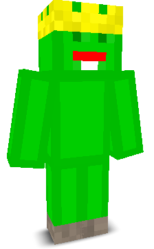 User's Minecraft appearance