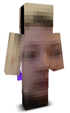 User's Minecraft appearance
