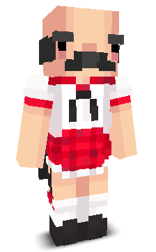 User's Minecraft appearance