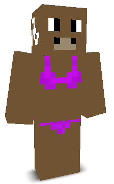 User's Minecraft appearance