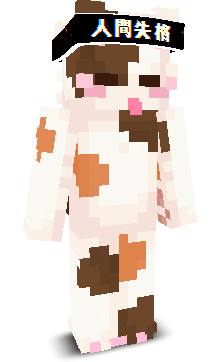 User's Minecraft appearance