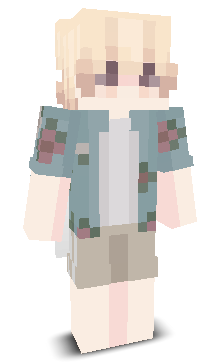 User's Minecraft appearance