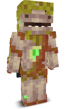 User's Minecraft appearance