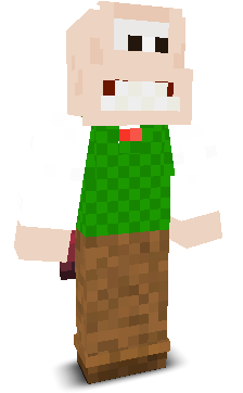 User's Minecraft appearance