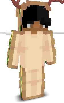 User's Minecraft appearance