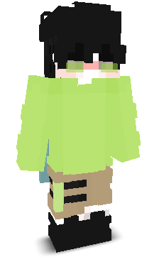 User's Minecraft appearance