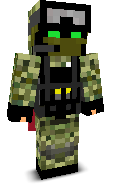 User's Minecraft appearance