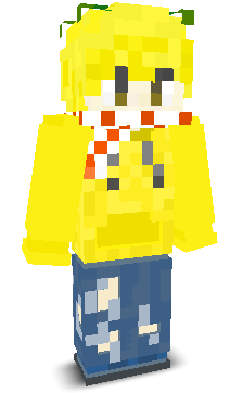 User's Minecraft appearance