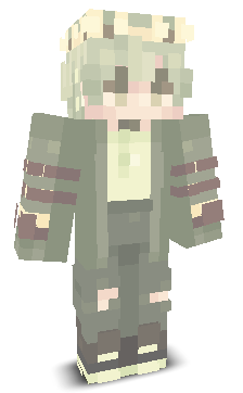 User's Minecraft appearance