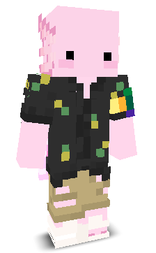 User's Minecraft appearance