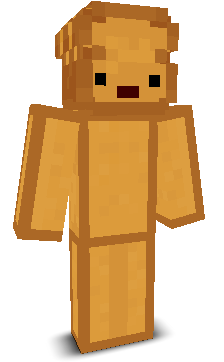 User's Minecraft appearance
