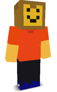 User's Minecraft appearance