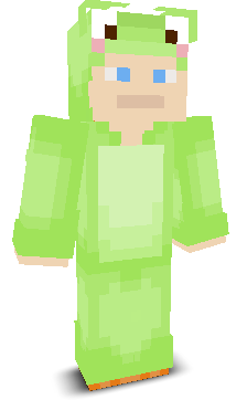 User's Minecraft appearance