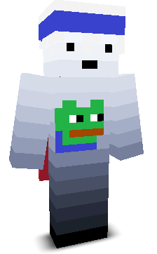 User's Minecraft appearance
